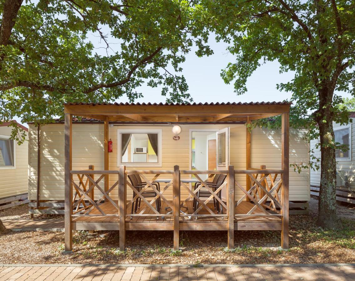 Classic Mobile Home,246530453:JPEG